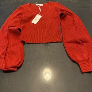 Petal & Pup Crop Top Sweater